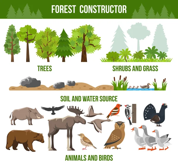 Forest Constructor Poster — Stockvector