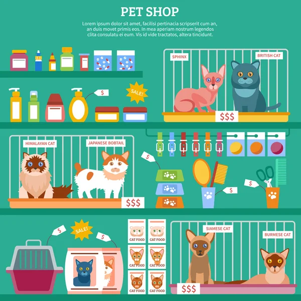 Ilustração do conceito de gatos —  Vetores de Stock