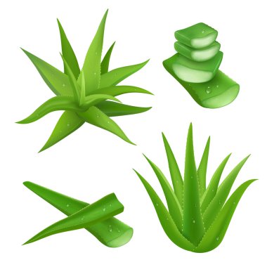Aloe vera seti