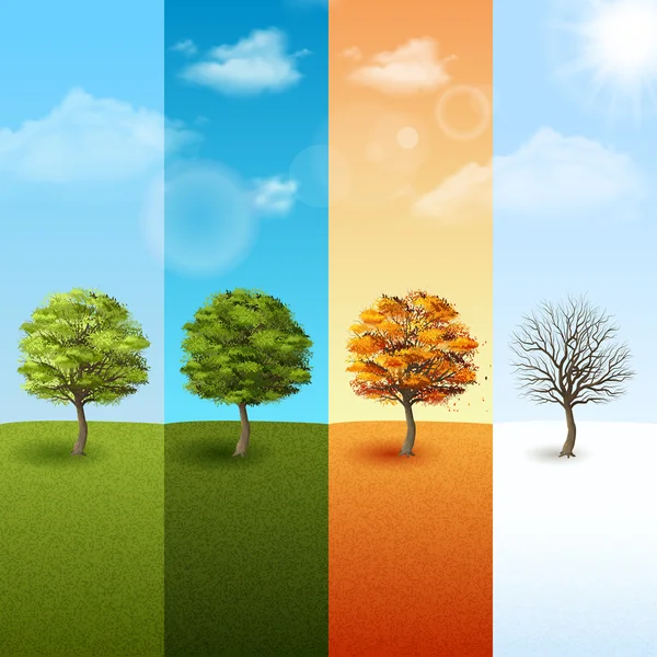 Four season tree banner set – stockvektor