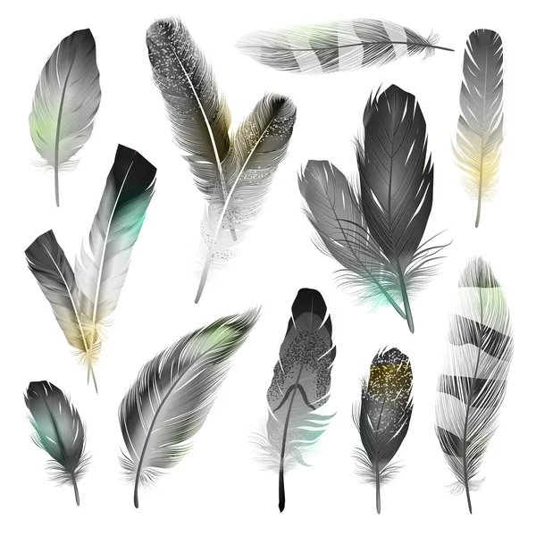 Ensemble de plumes noires et blanches — Image vectorielle