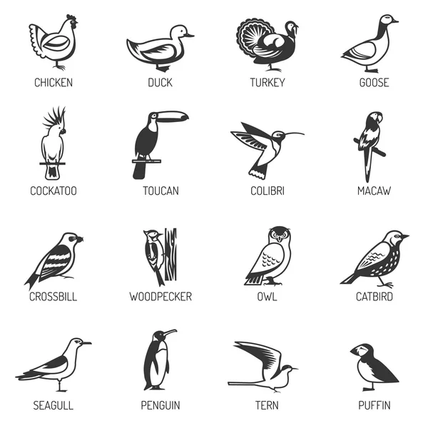 Ensemble silhouette d'oiseau — Image vectorielle