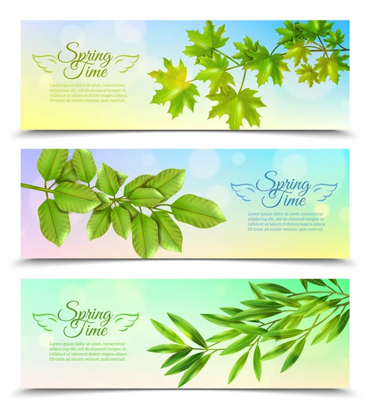 Horizontal Banners Set With Green Branches — Stock Vector