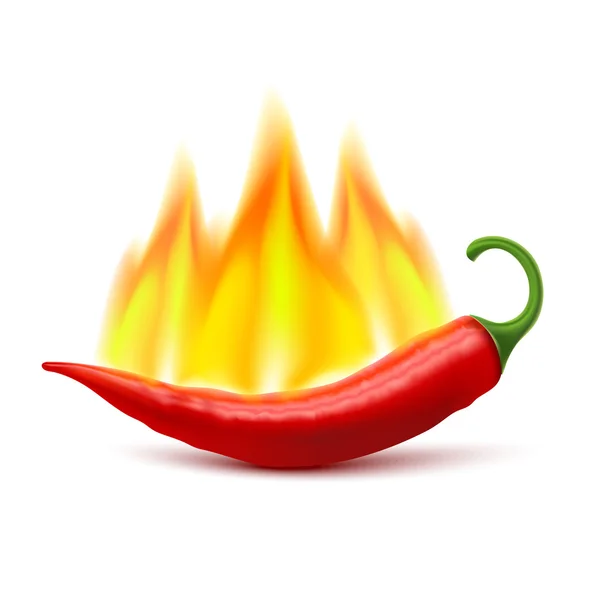 Flammande Hot Chili Pepper Pod bild — Stock vektor