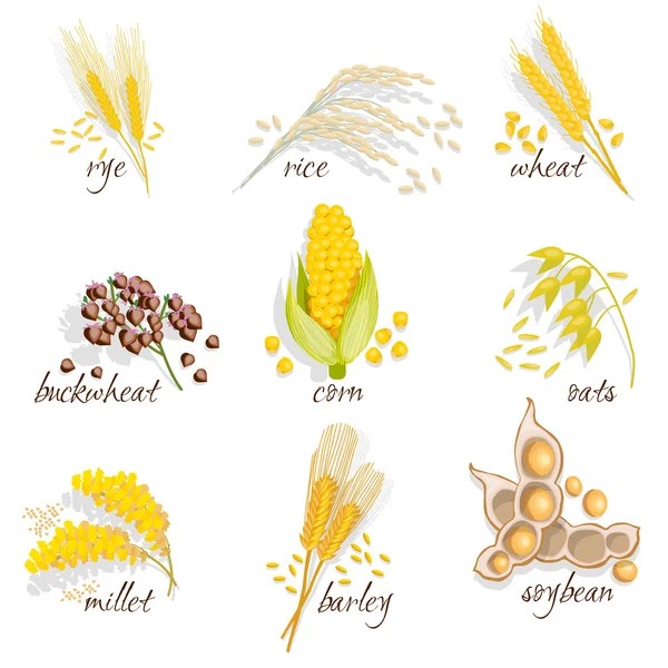 Ensemble d'icônes de céréales — Image vectorielle