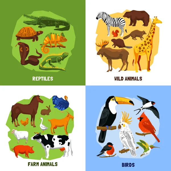 Cartoon 2x2 Zoo beelden — Stockvector