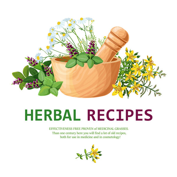 Medicinal Herbs In Mortar Illustration