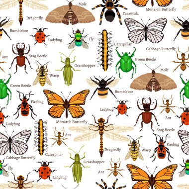 Insects Seamless Pattern clipart