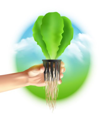 Hydroponics Sistemi Renkli Poster