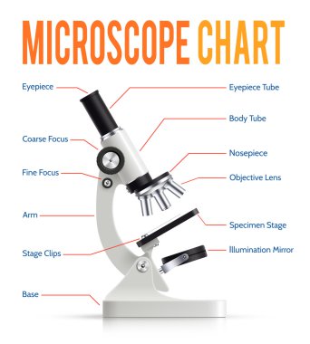Realistic Microscope Parts  Infographic Presentation Chart clipart