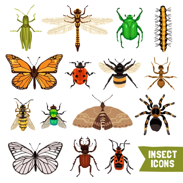 Insecten icons set — Stockvector