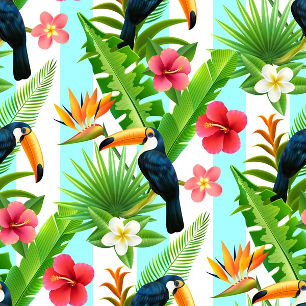 Rainforest Toucan plat modèle sans couture — Image vectorielle