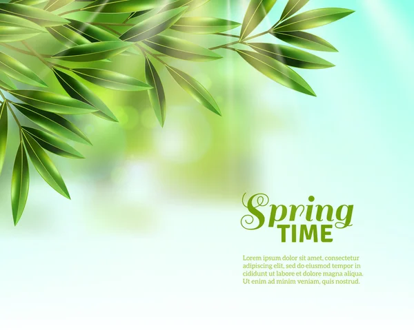 Spring Leaves Background — Stock Vector