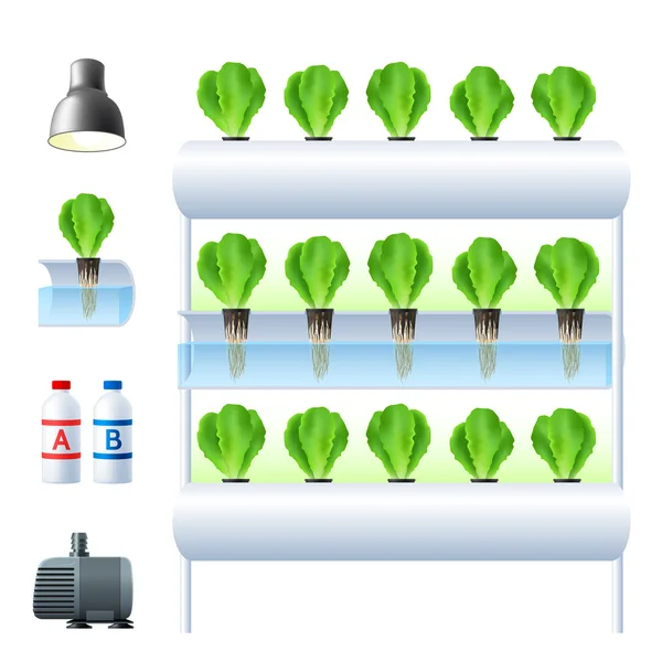 Zestaw ikon systemu hydroponics — Wektor stockowy