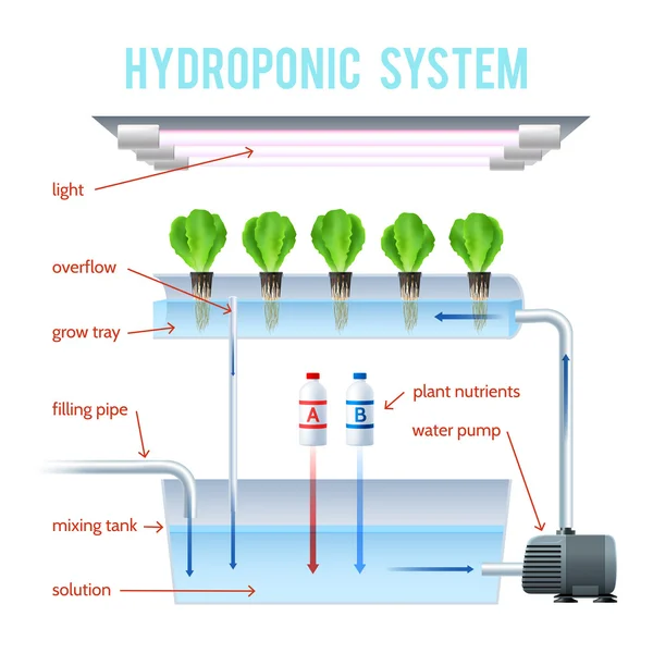 Infographie colorée hydroponique — Image vectorielle