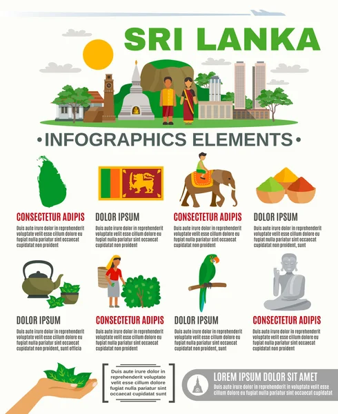 Infografía Sri Lanka — Vector de stock
