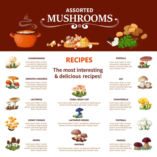 Assorted  Mushrooms Infographics — Stock Vector