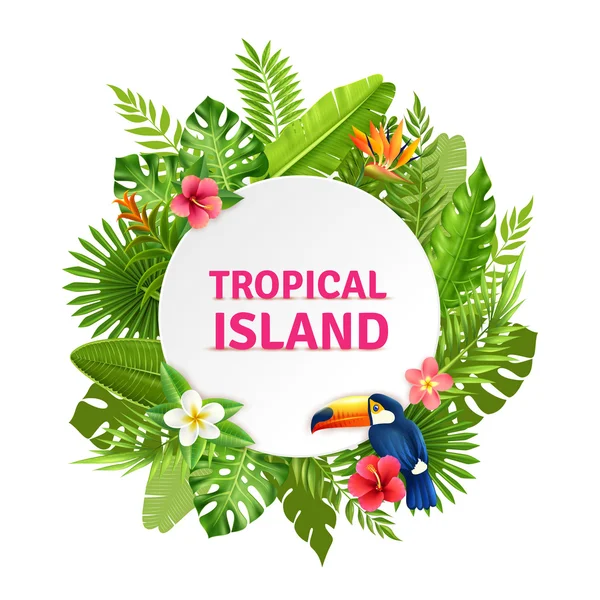 Flora tropical da ilha e quadro tucano — Vetor de Stock