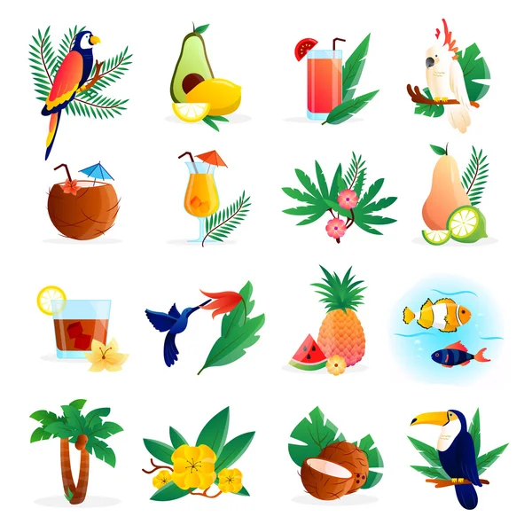 Conjunto de iconos tropicales — Archivo Imágenes Vectoriales