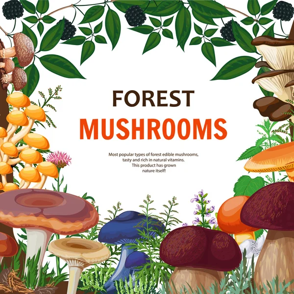 Forest Wild Mushroom Background — Stock Vector