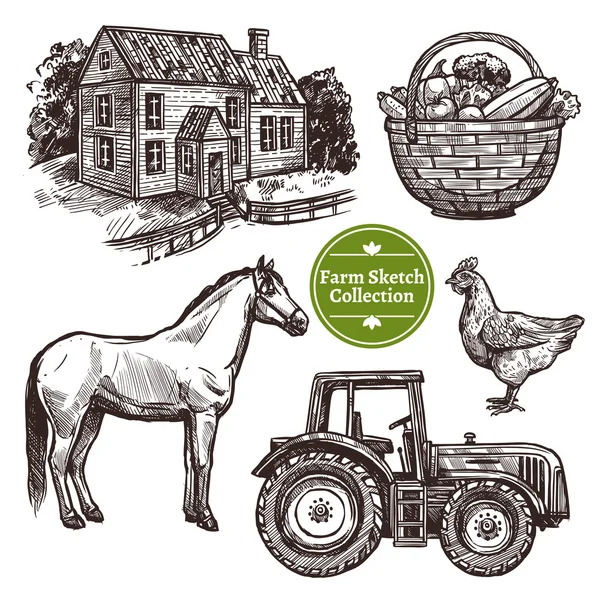 Farm Hand Drawn Sketch Set - Stok Vektor