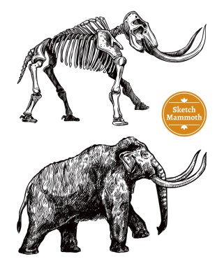 Kroki el çekilmiş mamut