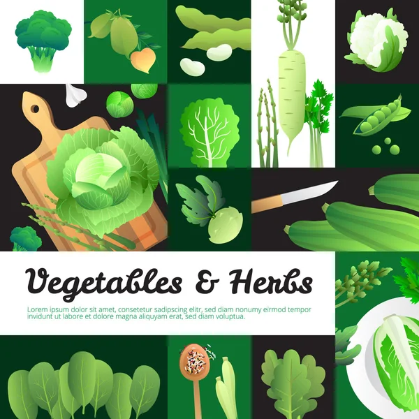 Orgánica Verduras Verdes Banners Cartel de Composición — Archivo Imágenes Vectoriales