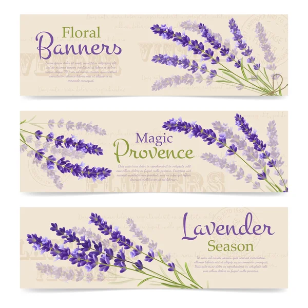 Banners horizontales de flores de lavanda — Vector de stock