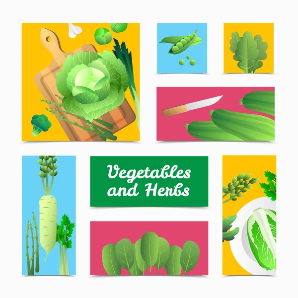 Organic Vegetables Herbs Colorful Headers Poster — Stock Vector