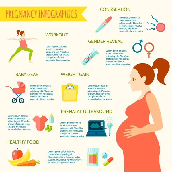 Zwangerschap infographic set — Stockvector