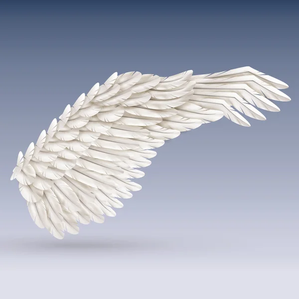 Witte vogel Wing — Stockvector