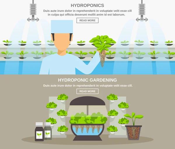 Illustrazione di progettazione idroponica — Vettoriale Stock