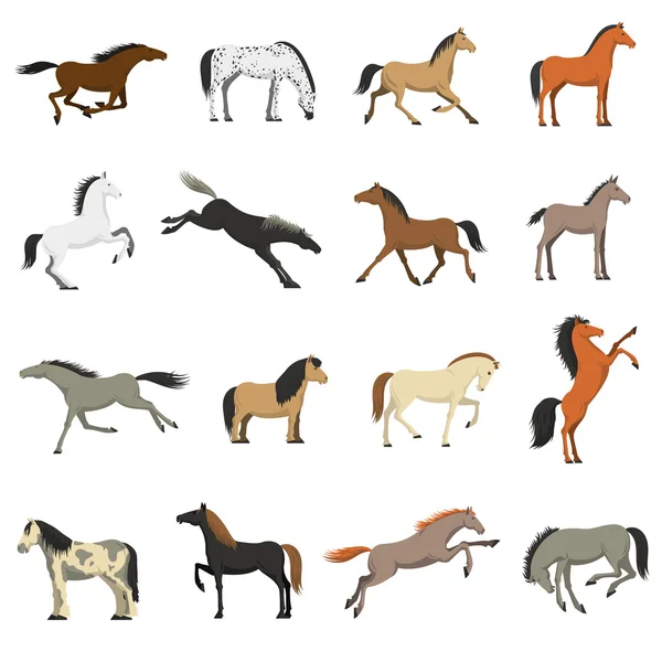 Bästa häst raser bilder ikoner set — Stock vektor