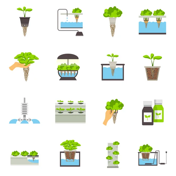 Hydroponic Flat Icons — Stock Vector