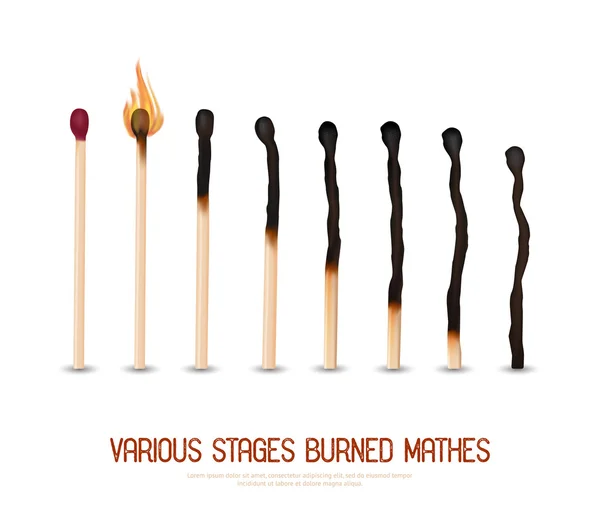 Burned Matches Set — Stock Vector