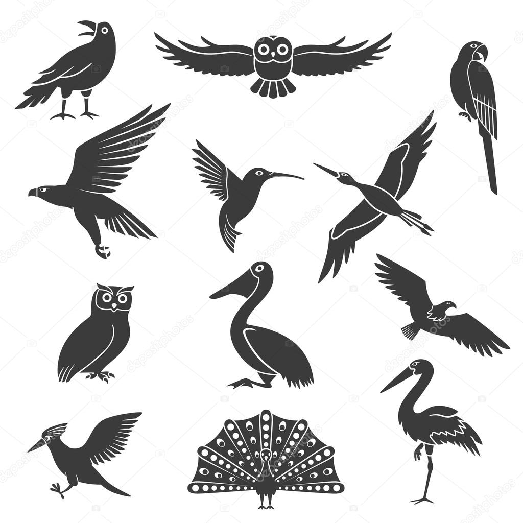 Vektorgrafiken Piktogramm Vogel Vektorbilder Piktogramm Vogel Depositphotos
