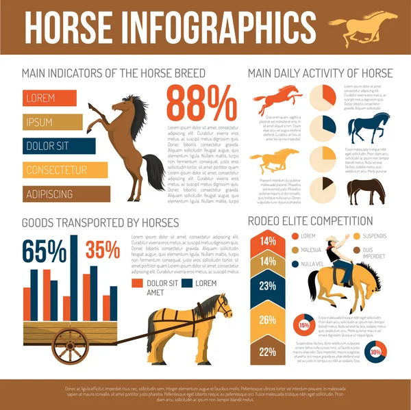 Ló tenyészt infographic bemutatás lakás poszter — Stock Vector