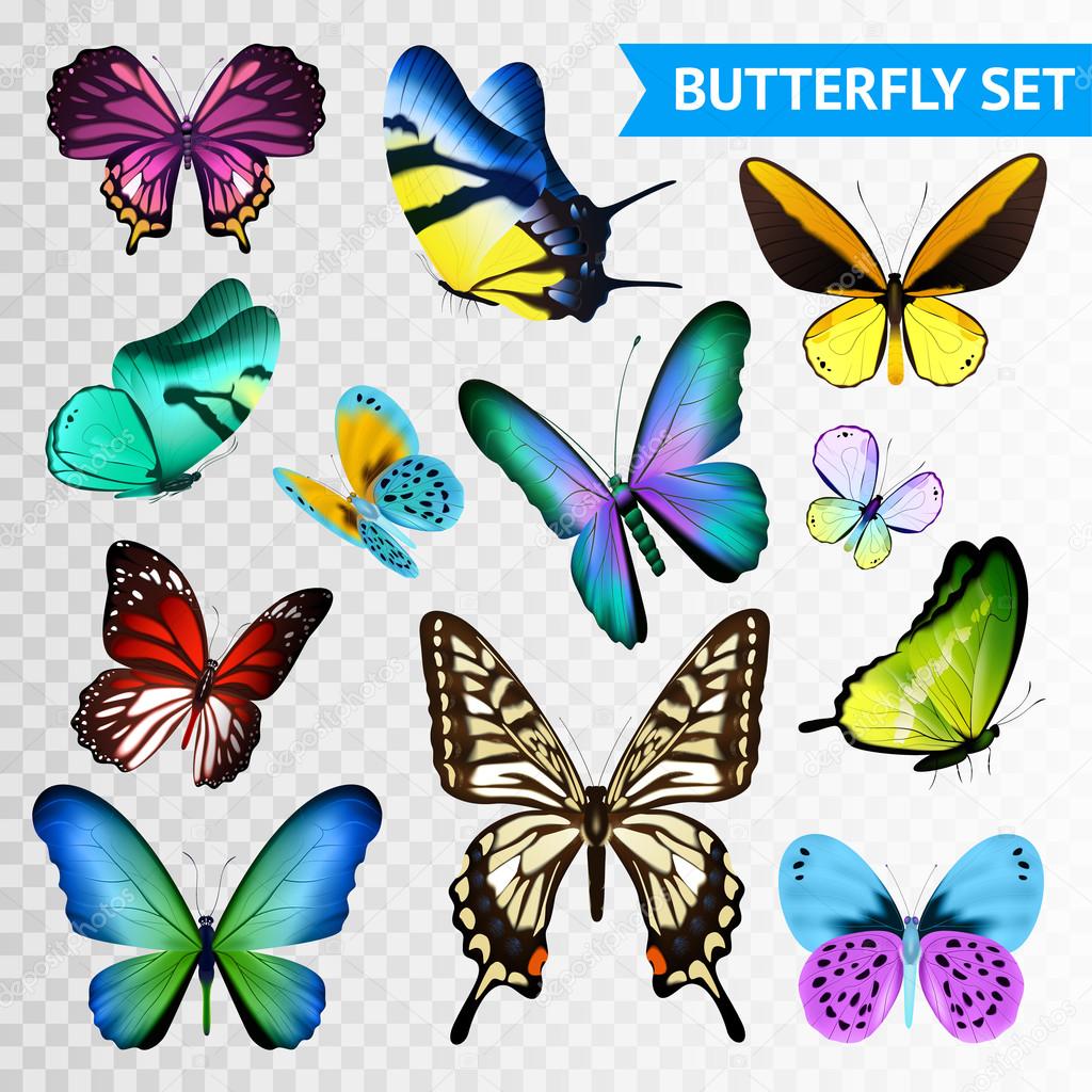 Conjunto transparente de mariposa vector, gráfico vectorial