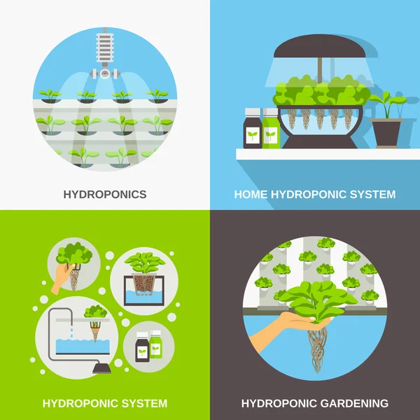 Concepto plano hidropónico — Vector de stock