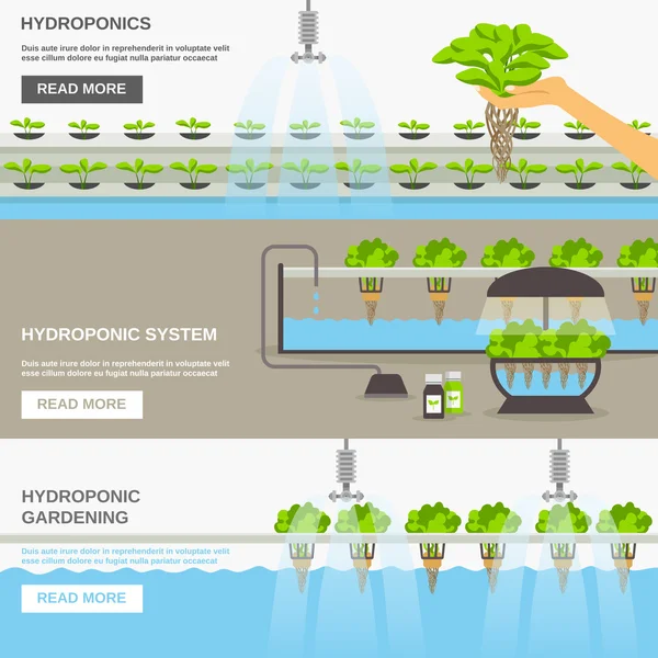 Illustration du système hydroponique — Image vectorielle