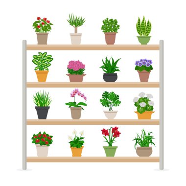 Houseplants raflar illüstrasyon üzerinde 