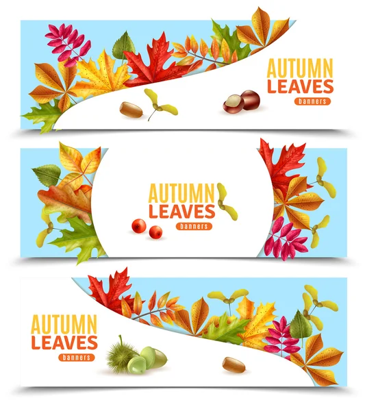 Autumn Leaves Banners — Stock Vector