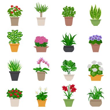 houseplant Icons set 