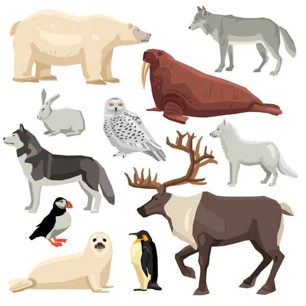 Ensemble d'animaux polaires — Image vectorielle