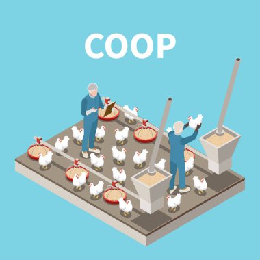 Coop Isometric Arkaplanı