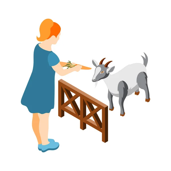 Alimentación de cabras Composición isométrica — Archivo Imágenes Vectoriales