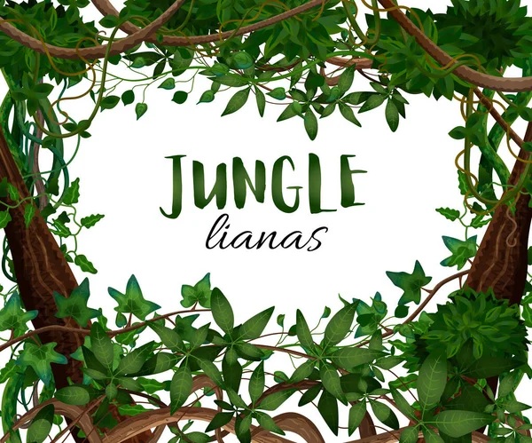 Πλαίσιο Tropical Lianas — Διανυσματικό Αρχείο