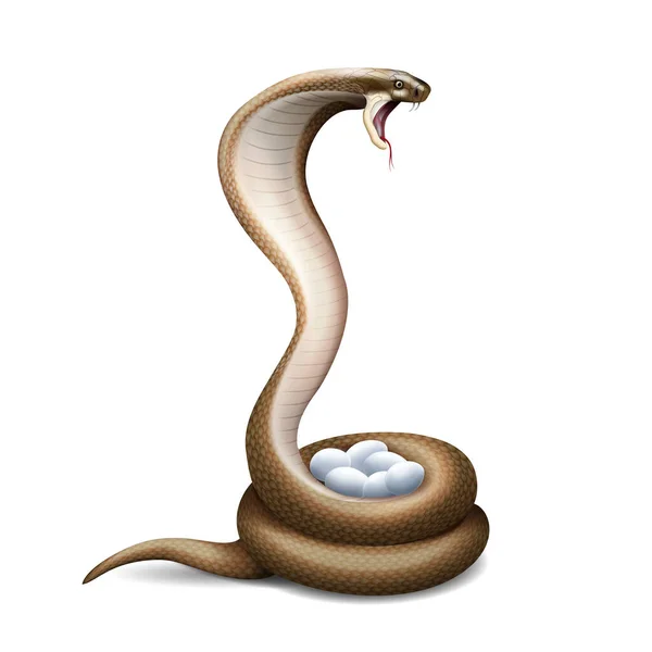 Cobra couvre la composition des œufs — Image vectorielle