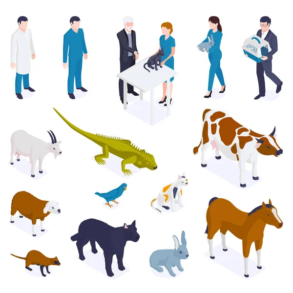 Set veterinario per animali isometrici — Vettoriale Stock