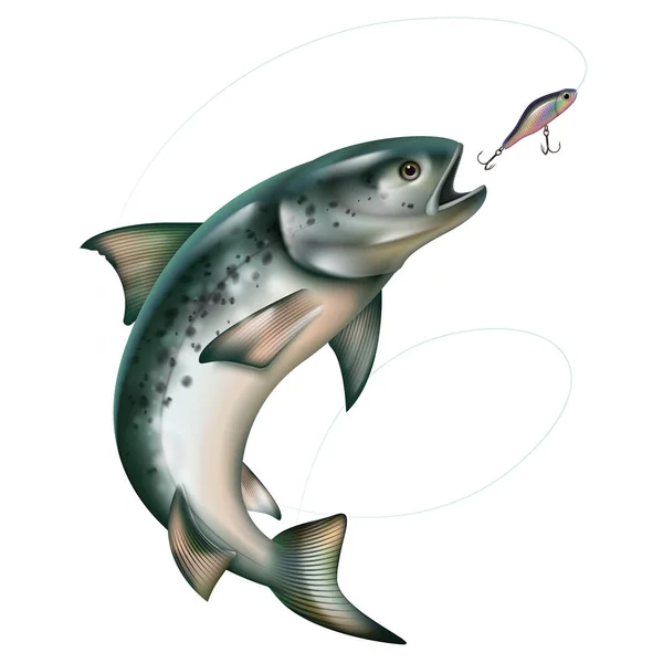 Skoki ryb chwytających przynętę — Wektor stockowy